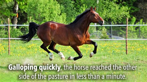 galloping in English .